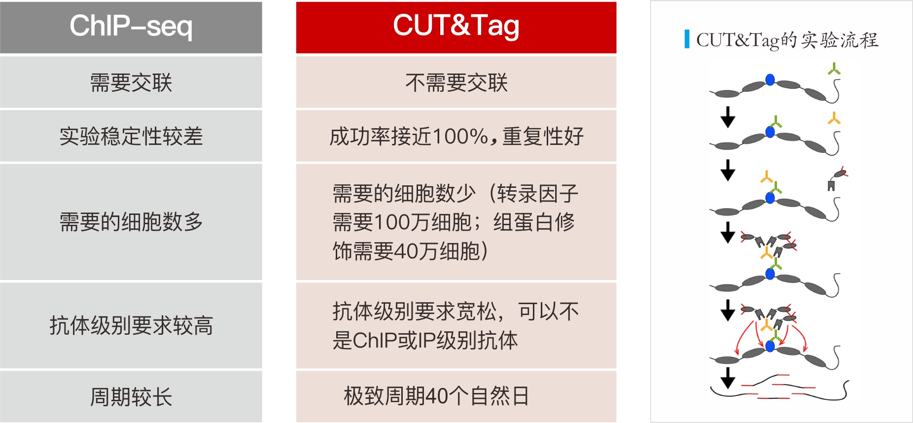 CUT&Tag介绍CUT&Tag vs. ChIP-seq 嘉因生物CUT&Tag - 上海嘉因生物