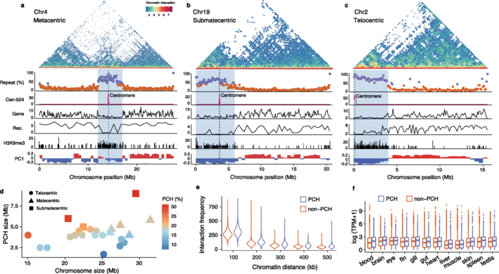 1626066870357335.png 图片8.png