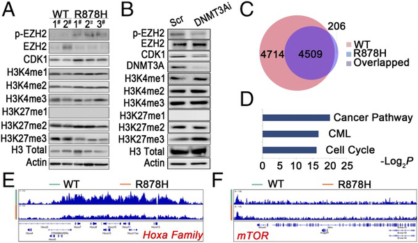 1571727359.png 图片22.png