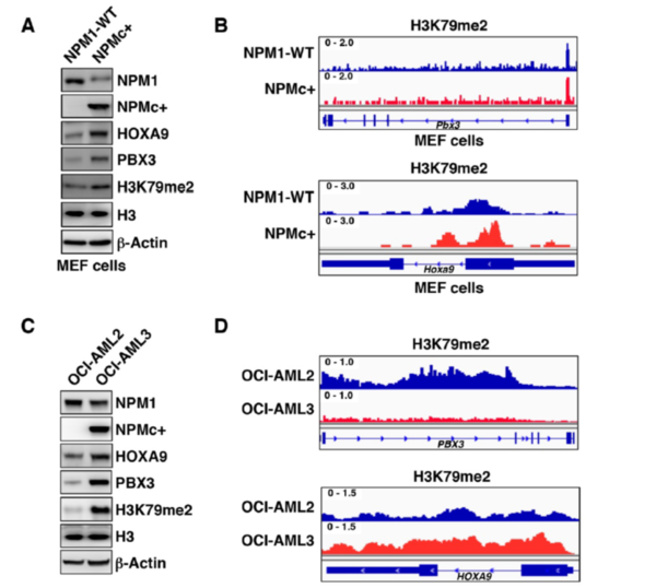 1572316294.png 图片1.png